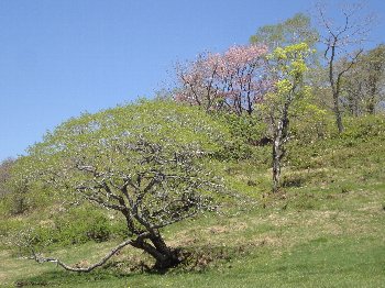 e0122199_23245346.jpg