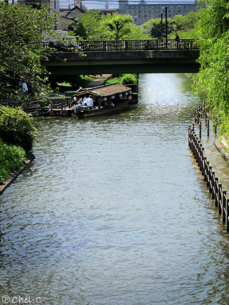a0154706_229071.jpg