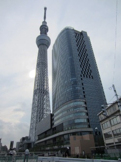 d0091909_7533253.jpg