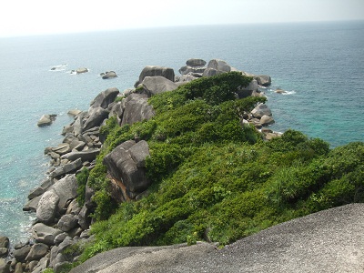 b0191418_0545936.jpg