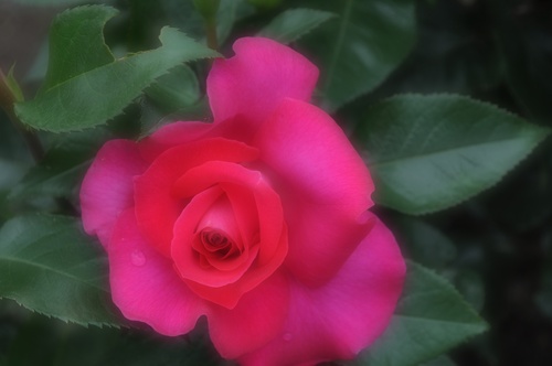 a0248728_17163010.jpg