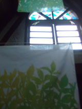 c0188928_1852578.jpg