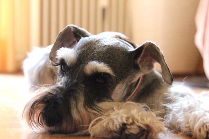 c0153740_23162471.jpg