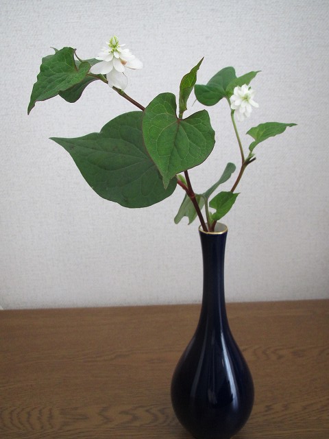 c0076141_1026463.jpg