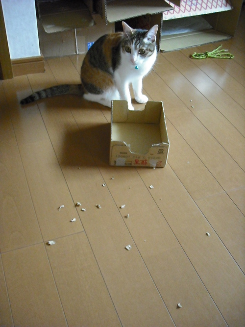 c0194042_21365839.jpg