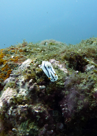 f0014842_17523271.jpg
