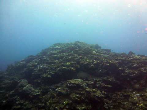 f0014842_17532486.jpg