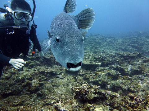 f0014842_1803670.jpg