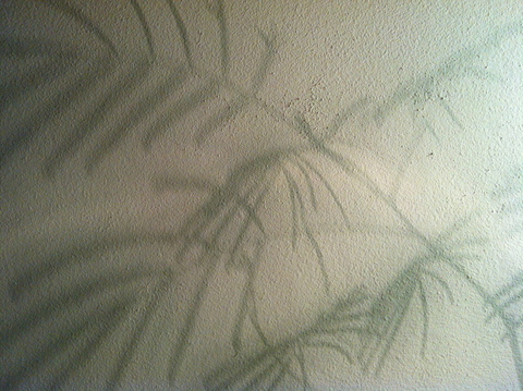 e0252746_048133.jpg
