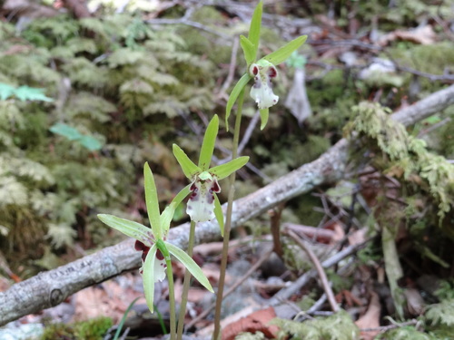 f0231573_21565875.jpg