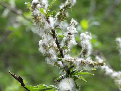 f0231573_2213638.jpg