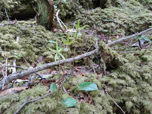 f0231573_2284850.jpg