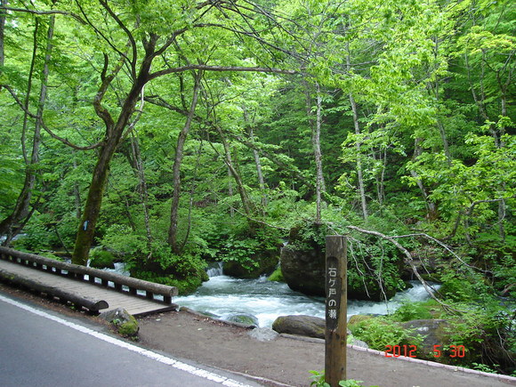 a0188775_9213687.jpg