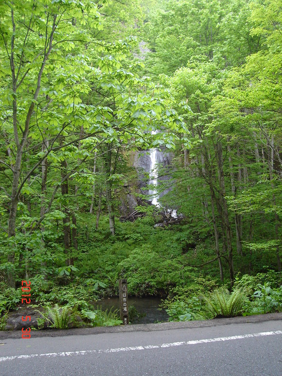 a0188775_925461.jpg