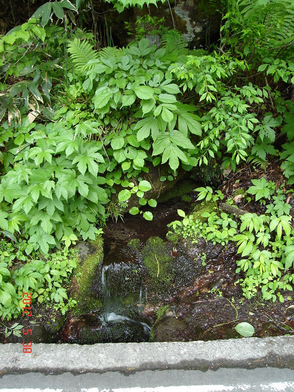 a0188775_9382098.jpg