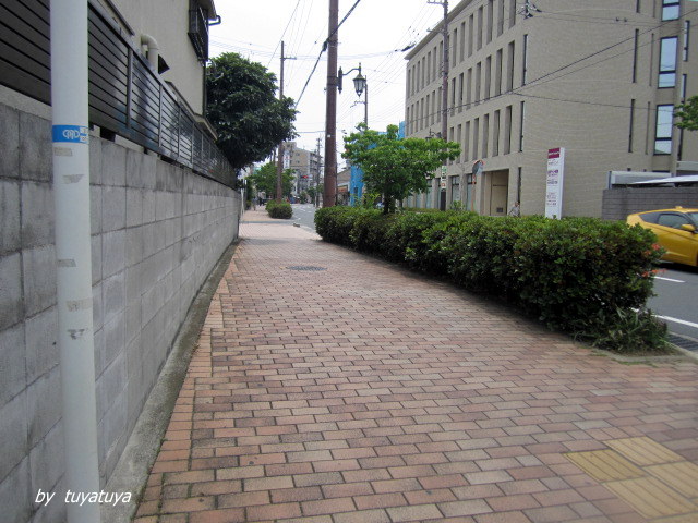 b0245877_12394798.jpg