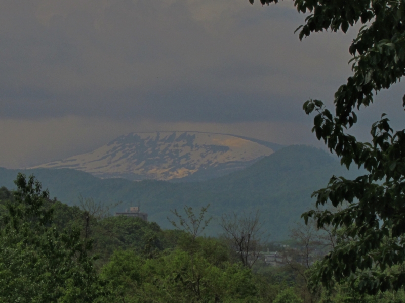 c0183777_19495317.jpg