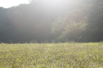 f0054677_7564384.jpg