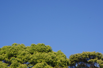f0054677_758402.jpg