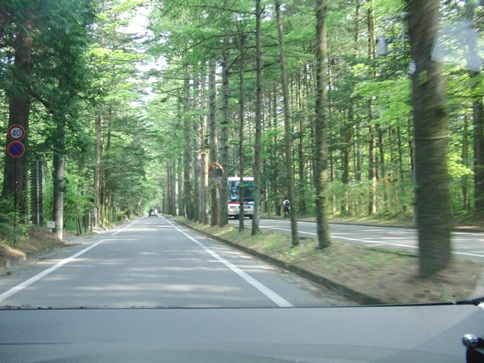 c0163878_1004791.jpg