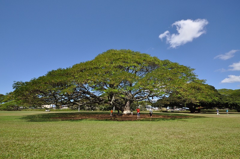 c0240388_834637.jpg