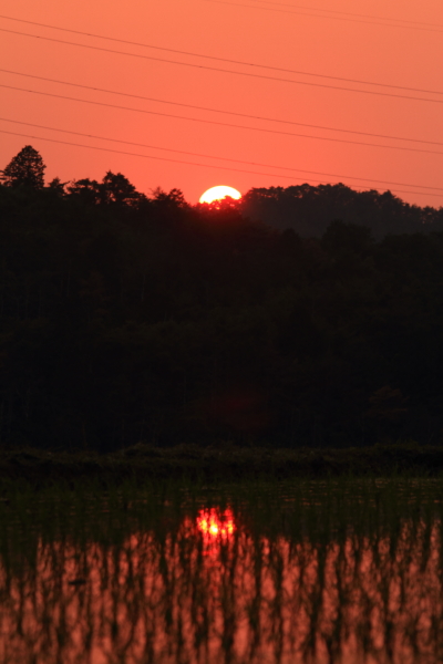 e0051888_6384147.jpg