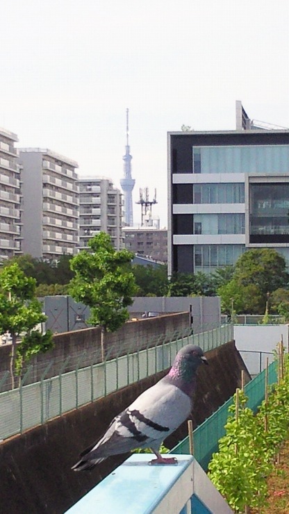 b0100489_13203433.jpg