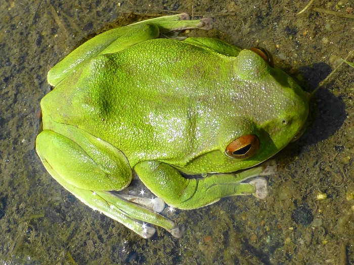 e0202393_1021486.jpg