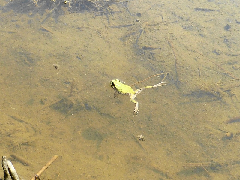 e0202393_10254568.jpg