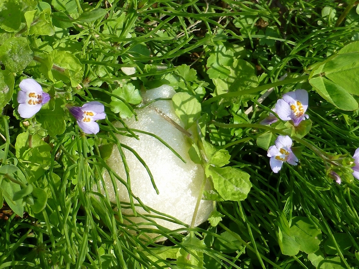 e0202393_10281164.jpg