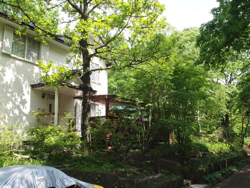f0108399_4381014.jpg