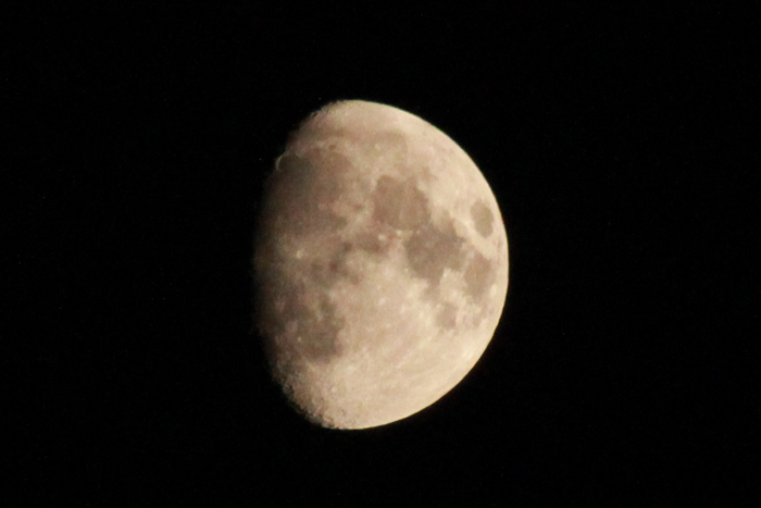 c0017802_2213248.jpg