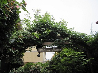 c0152002_19253944.jpg
