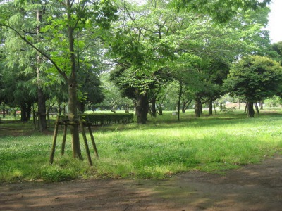 d0046702_1146718.jpg