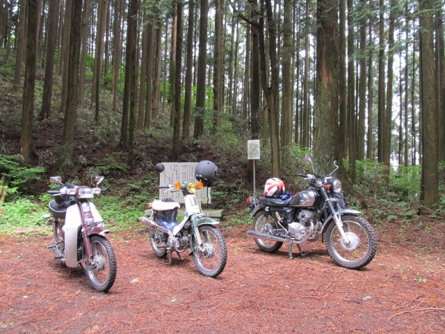 e0157602_1445763.jpg