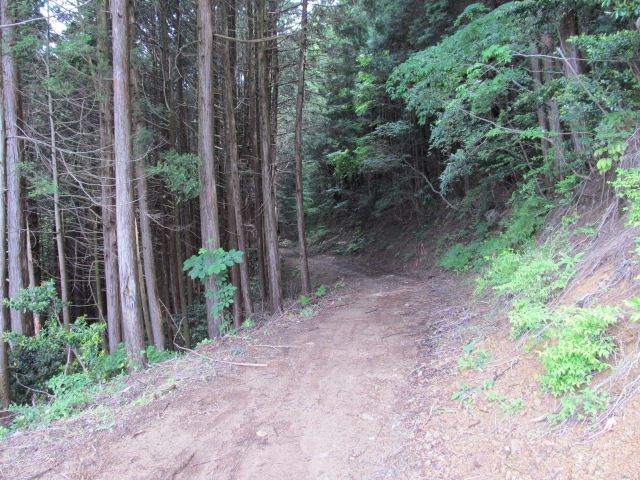 e0157602_14462127.jpg