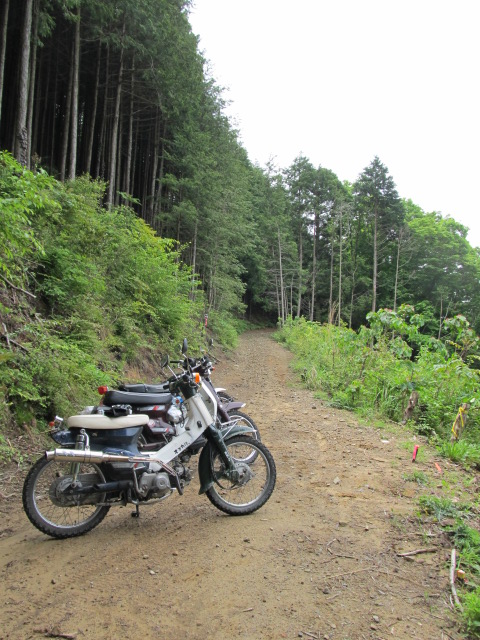 e0157602_14473295.jpg
