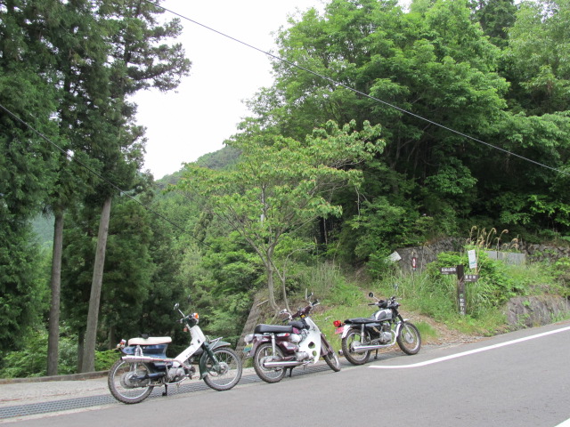 e0157602_1448475.jpg