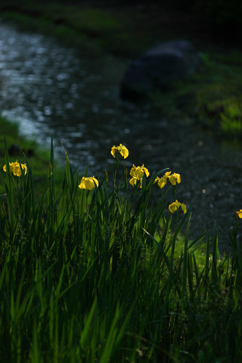 a0155104_9131569.jpg