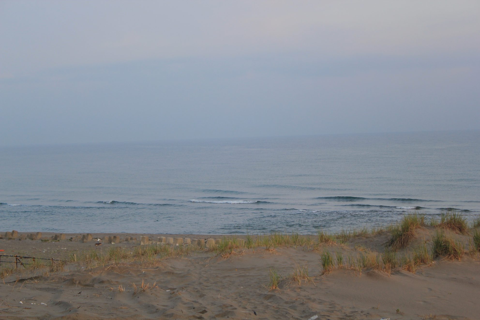 a0264604_7281338.jpg