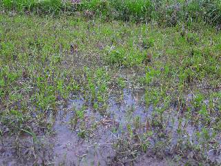 c0126205_9423139.jpg