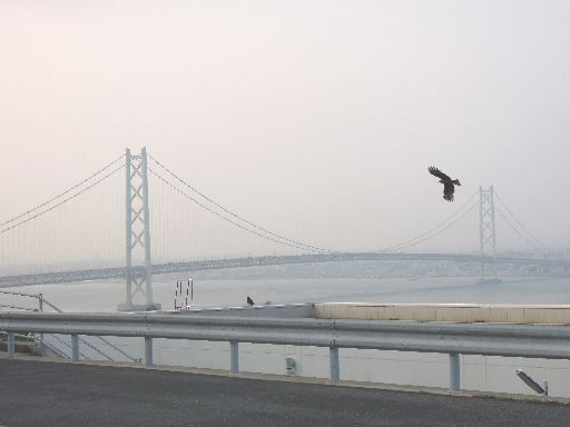 c0149408_2117416.jpg