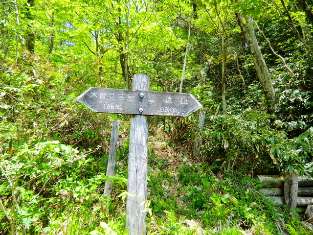 d0170615_20332487.jpg