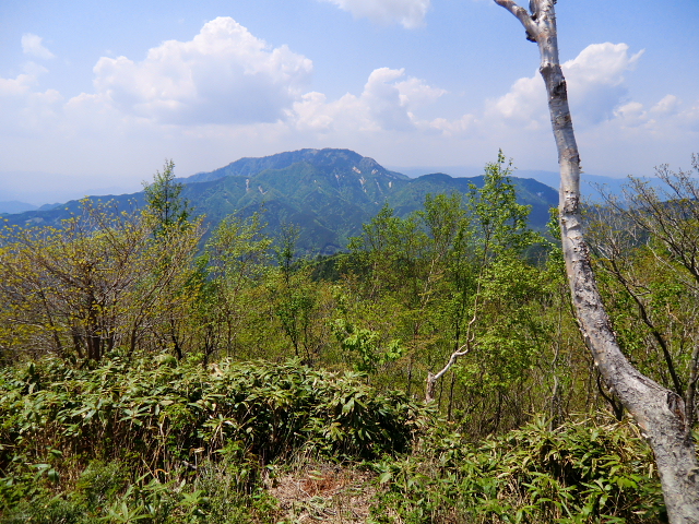d0170615_20342919.jpg