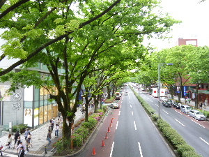 a0157619_2223498.jpg