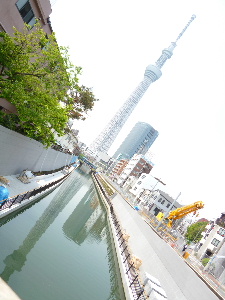 a0157619_2235559.jpg