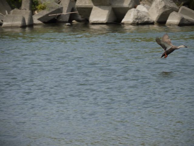 a0252323_0565972.jpg