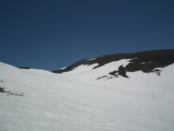 f0118332_2317488.jpg