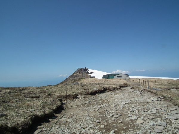 f0118332_232438.jpg