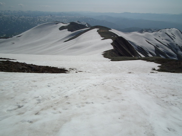 f0118332_23451611.jpg
